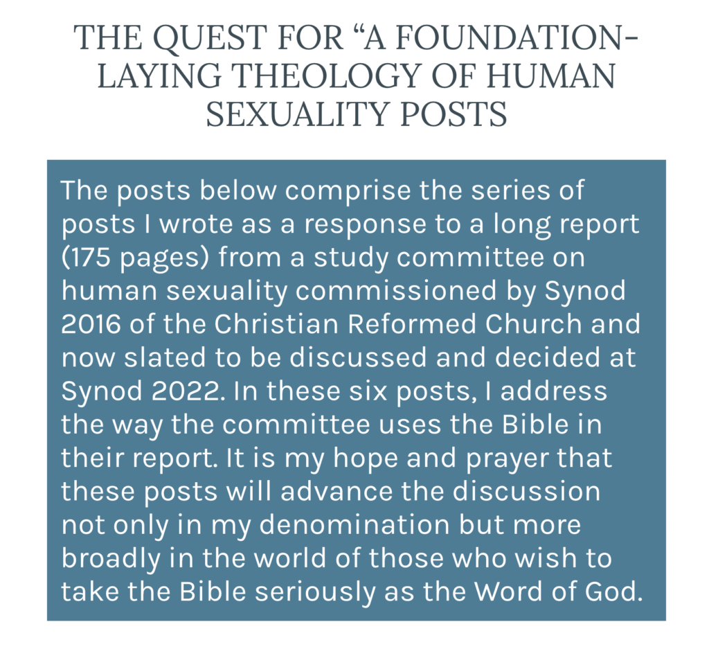 The Bible And Sex The Quest For A Foundation Laying Theology Of Human Sexuality The Hesed Project 5835